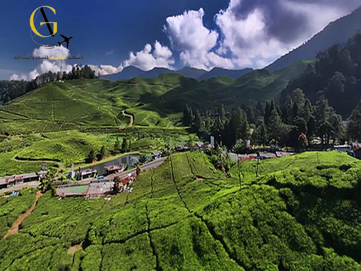 السياحة في إندونيسيا